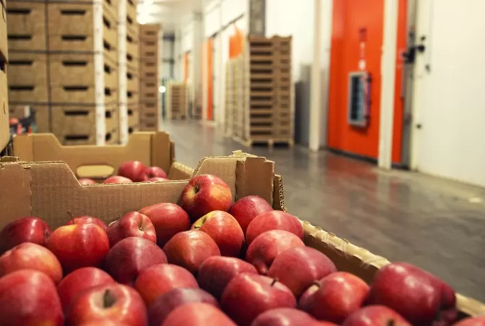 Principais produtores de suco de maçã registram crescimento nas exportações