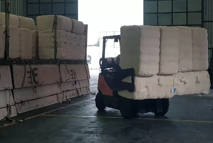 Mato Grosso exporta 160,67 mil t de pluma em outubro – Imea
