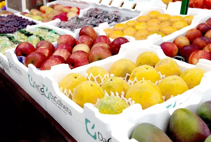 Exportações de frutas frescas promete fechar bem 2022, mas não supera marca alcançada em 2021