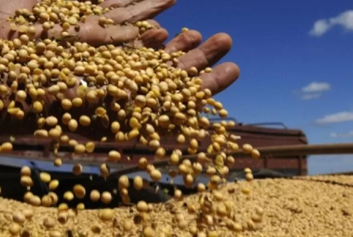 Soja/USDA: exportadores relatam vendas de 261,27 mil toneladas para o México