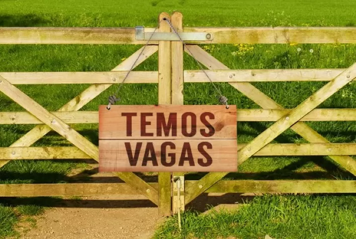 Bureau Veritas abre quase 2 mil vagas de emprego na região sul para Projeto Harvest