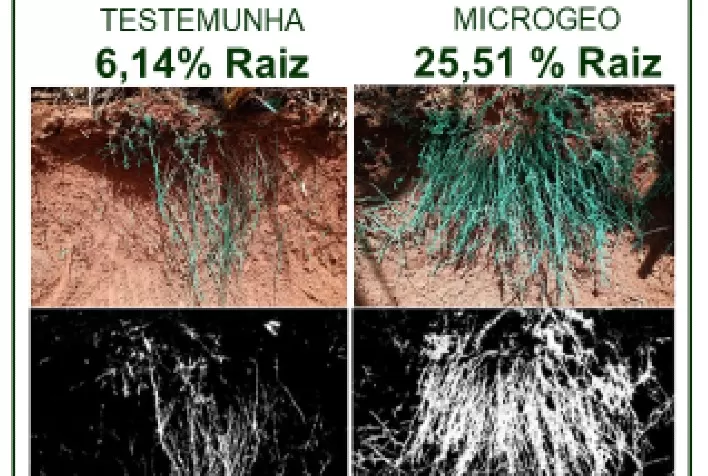 Biotecnologia Microgeo® é assunto do 5º Seminário UDOP de inovações