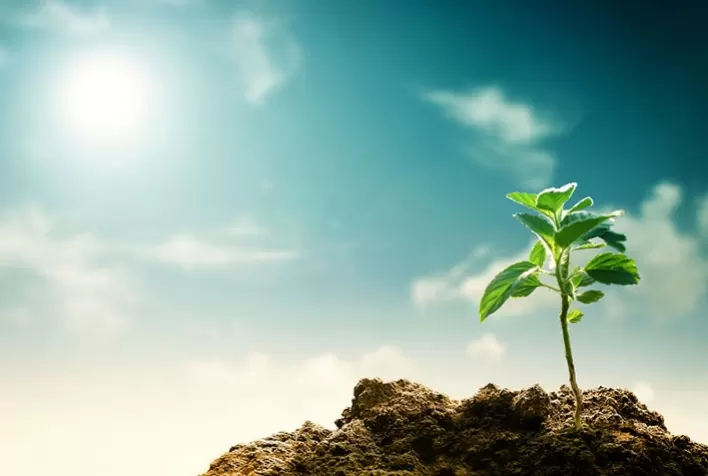 Sustentabilidade, marca da agricultura do Cone Sul