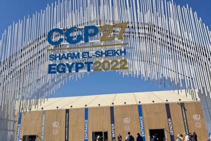 Mercado de café de olho nas decisões da COP 27