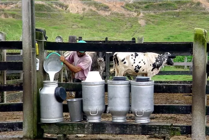 Captação de leite