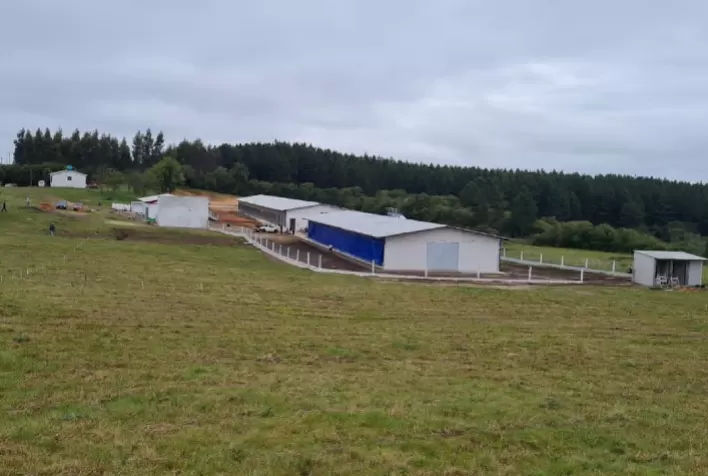 Parceria com a West Aves amplia participação da genética Embrapa no mercado