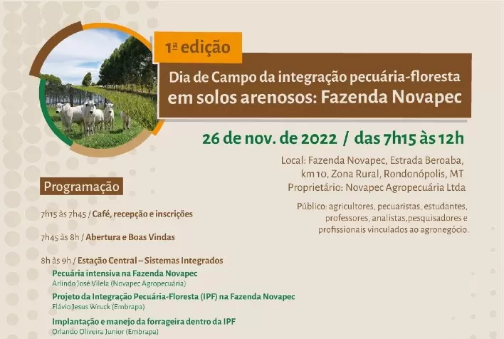 Dia de campo aborda sistema silvipastoril em solos arenosos em Rondonópolis