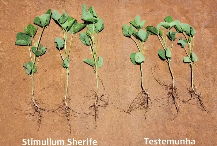 Novo fertilizante tem alta tecnologia para indução de resistência às plantas