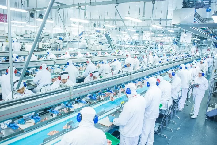 BRF cria Programa de Cultura de Segurança de Alimentos e já impacta mais de 25 mil colaboradores
