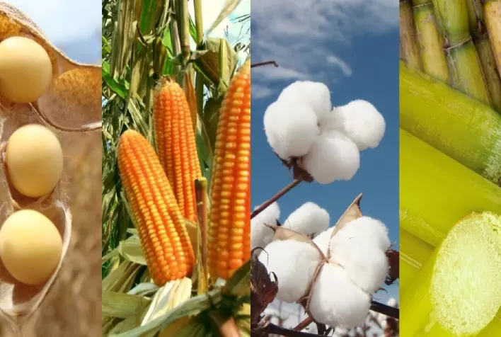 Kynetec ampliará acervo de dados sobre nutrição de culturas