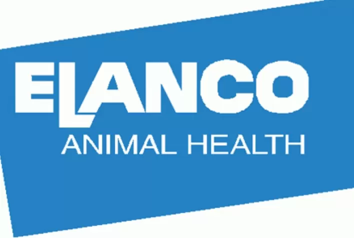 Elanco faz parceria com empresa irlandesa para distribuição de produtos para a saúde intestinal de suínos