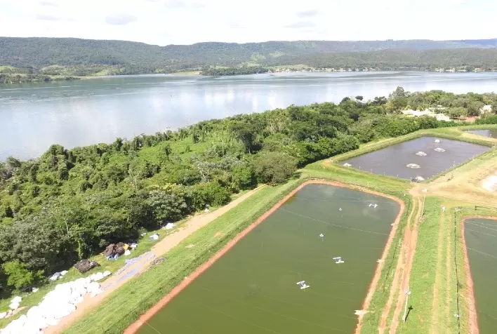 Fider Pescados amplia Área de Preservação Permanente, em Rifaina (SP), com o plantio de 15 mil árvores nativas