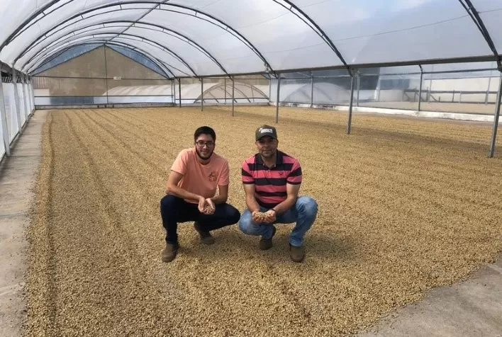 O segredo do produtor campeão do Cup of Excellence Brazil 2022: tratamento fitossanitário e tecnologias de nutrição e fisiologia no cafezal