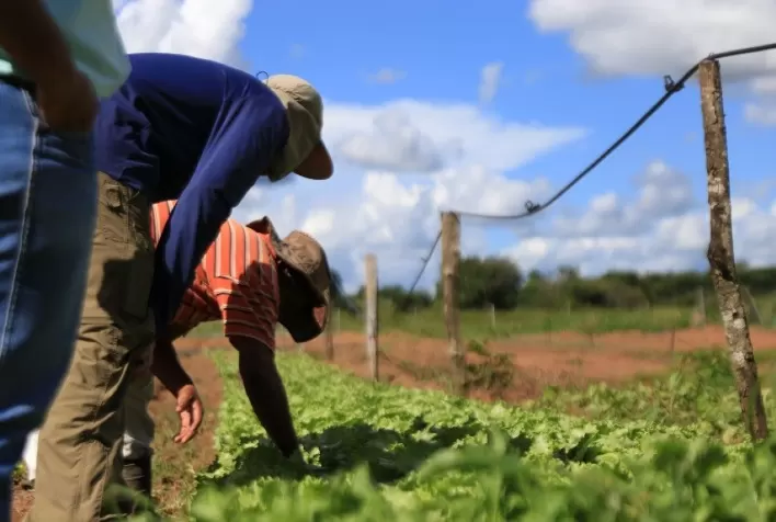 MERCADO DE TRABALHO: Trabalhadores atuando no agro seguem crescendo e já superam número pré-pandemia