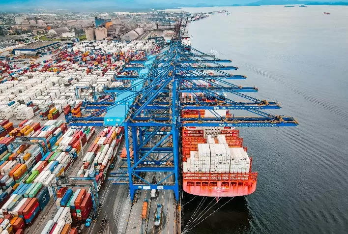Entre os grandes exportadores, Tailândia e Brasil são os que têm a avicultura mais dependente do mercado externo