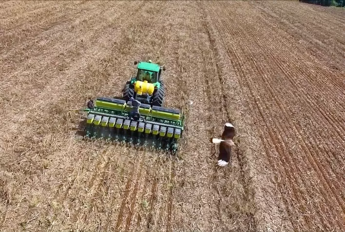 Sistema de Plantio Direto completa 50 anos no Brasil, garantindo maior produtividade e sustentabilidade para agro