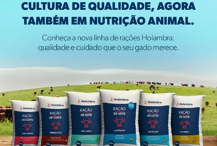Holambra Cooperativa Agroindustrial lança linha de rações premium para ruminantes de corte e leite