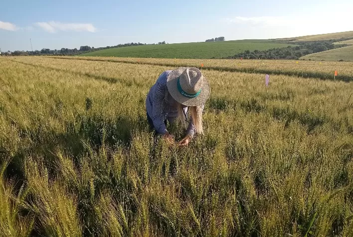 Debênture Verde: Biotrop investe R$ 92,5 milhões em sustentabilidade no primeiro ano