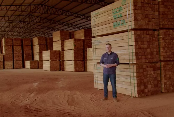 Em menos de um ano, startup WoodFlow tem mais de 170 processos cadastrados de exportação de madeira