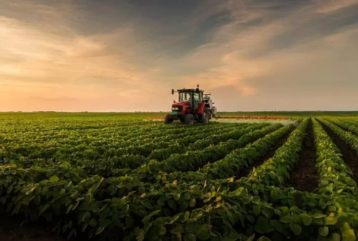 PL dos Agrotóxicos divide equipe de transição e votação é adiada