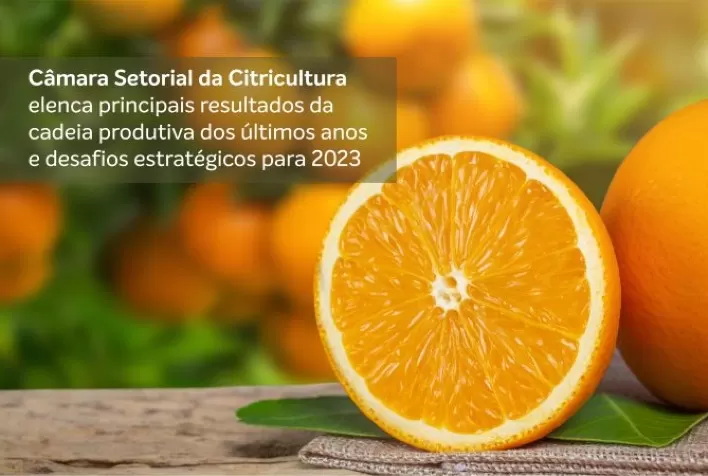Câmara Setorial da Citricultura elenca principais resultados da cadeia produtiva dos últimos anos e desafios estratégicos para 2023
