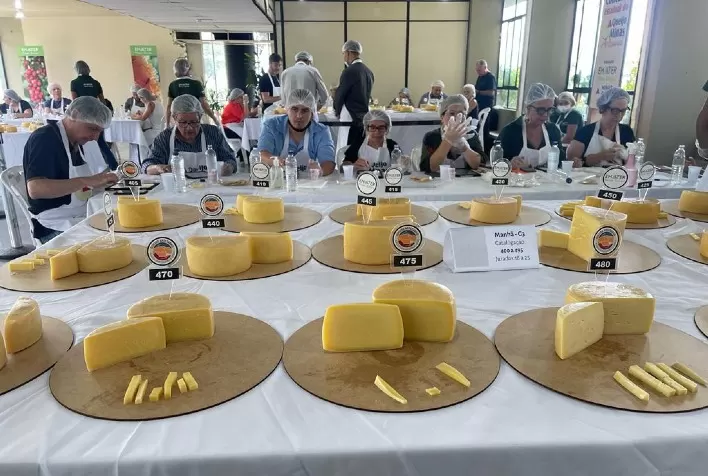 Concurso Estadual de Queijo Minas Artesanal teve disputa acirrada