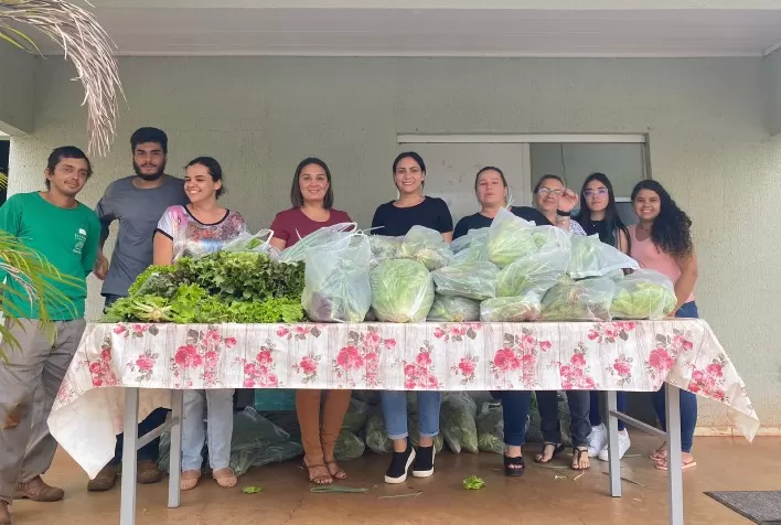 Alimentos orgânicos produzidos em agrofloresta são doados para famílias carentes