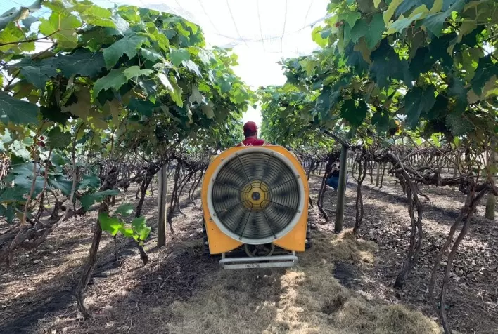 Workshop sobre tecnologia de aplicação de agroquímicos reúne produtores de uva de Jundiaí e região, no dia 8