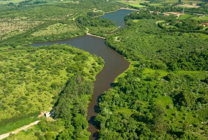 Aceleradora de Negócios Florestais impulsionará empreendimentos de restauração na Mata Atlântica