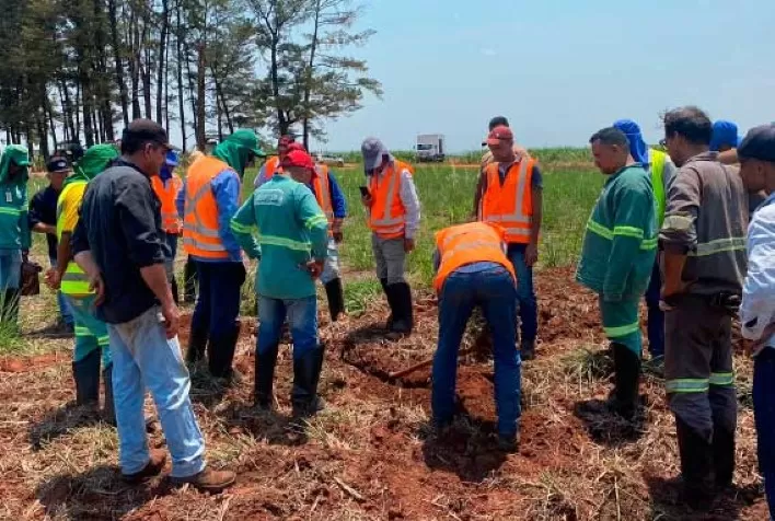 Alcoolvale: Colaboradores participam de treinamento de operações no preparo de solo
