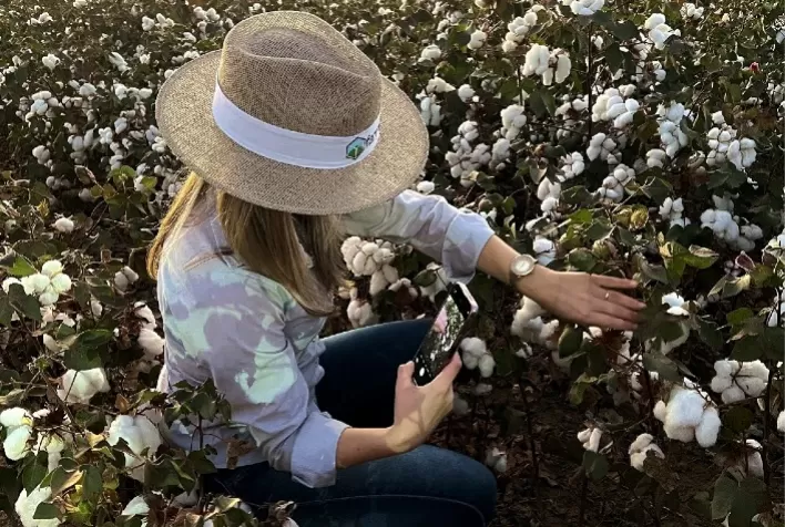 Manejo de pragas de precisão gera economia média de 33% na aplicação de pesticidas