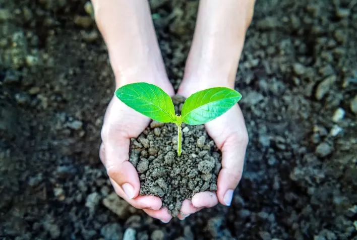 Transição para práticas mais sustentáveis no agronegócio é possível, mas depende de investimento
