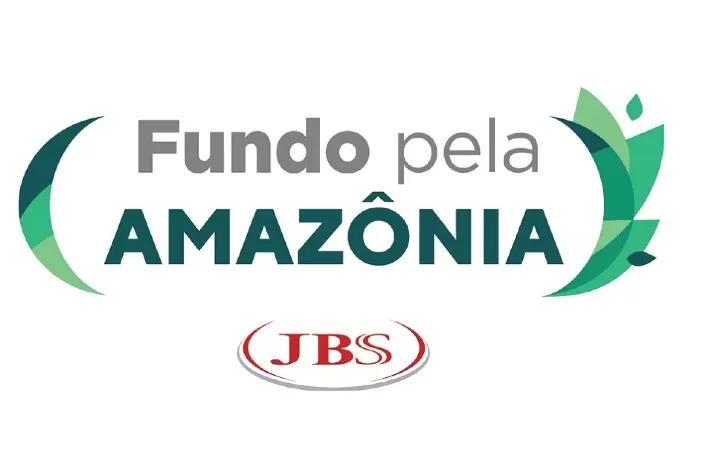 Blended Finance pode ativar o ecossistema de negócios de impacto na Amazônia e preservar a floresta