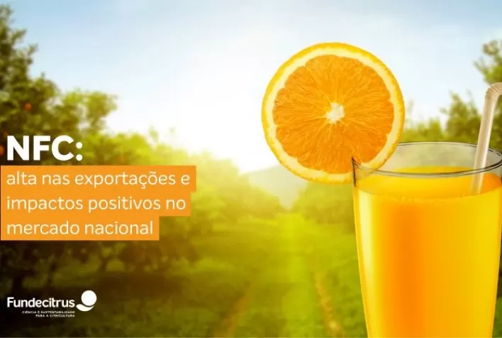 Alta na exportação de NFC traz impactos positivos também para o mercado interno