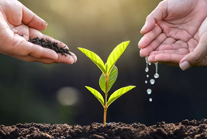 Agricultura de baixo carbono: tecnologia no campo traz soluções sustentáveis para o agronegócio