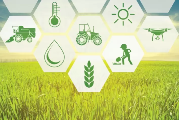 Seguro Agrícola cresce em importância, mas enfrenta cenário desafiador
