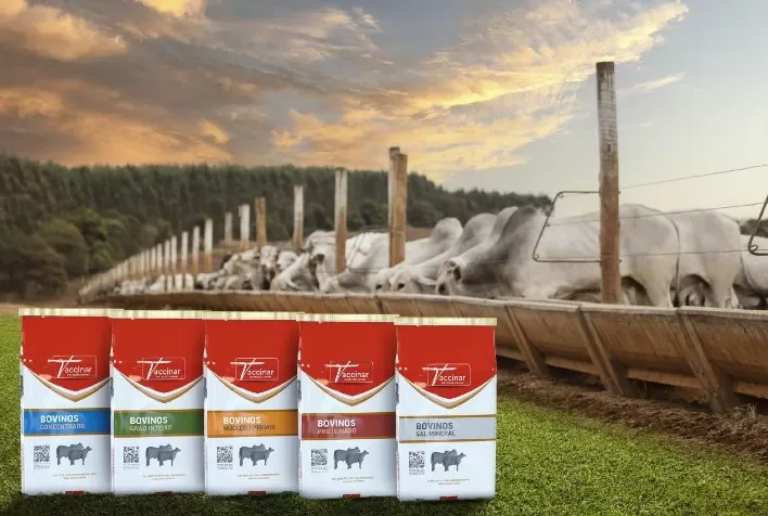 Aditivos nutricionais contribuem para redução de gases de efeito estufa