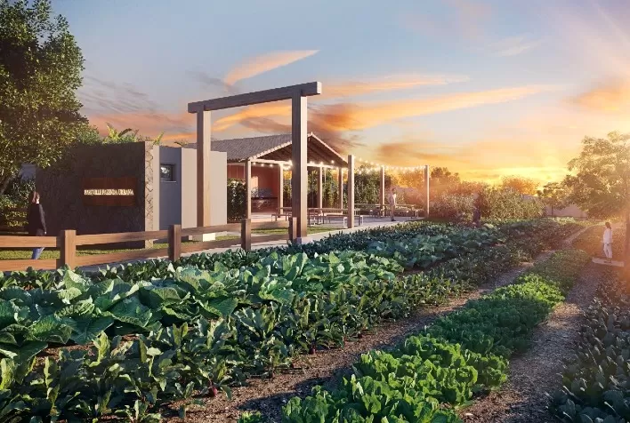 Condomínio horizontal agrega fazenda urbana e agrofloresta para os moradores, em Goiás