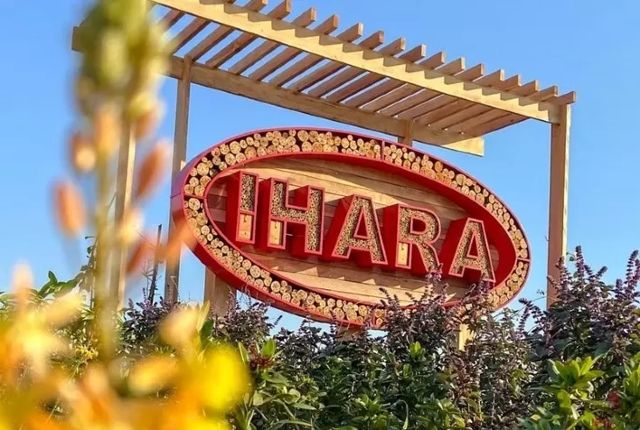 IHARA investe na preservação e valorização de polinizadores no MT