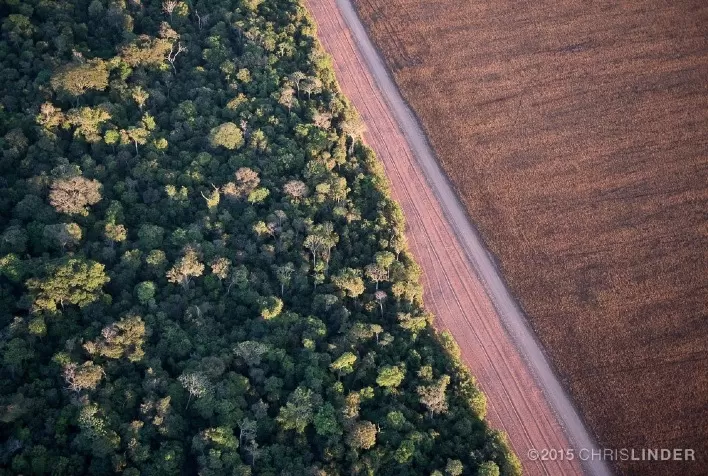 Plataforma digital vai medir cobertura vegetal no Brasil sob a ótica do novo Código Florestal