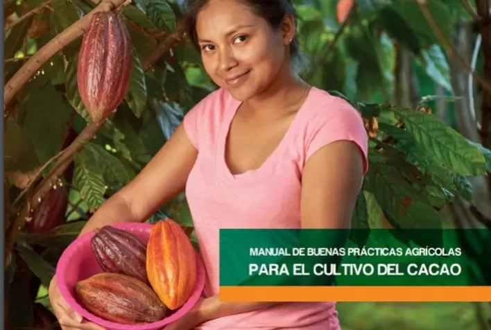 Setor cacaueiro do Peru dispõe de nova ferramenta para promover a inocuidade do cultivo e fomentar as exportações