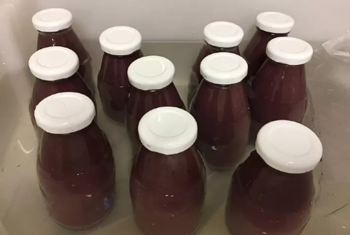 O açaí da Mata Atlântica: pesquisadores desenvolvem produtos com os frutos da palmeira juçara