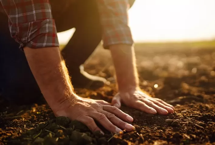 Prevenção da capacidade de cultivo: a importância do diagnóstico da qualidade do solo