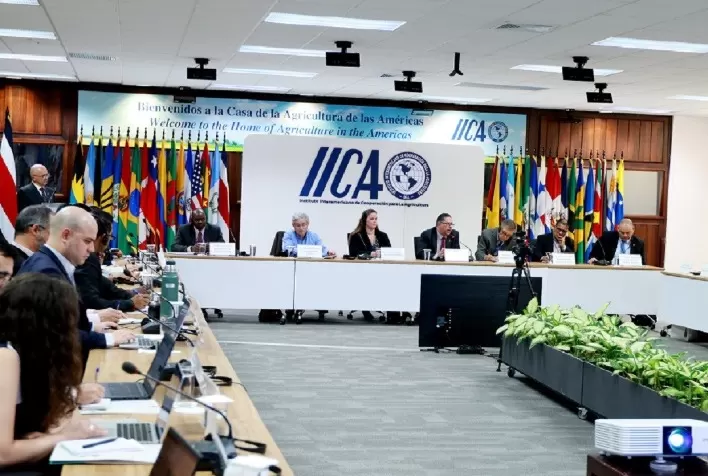 Com apoio do IICA, a organização hemisférica OIMA fortalecerá ferramentas para coletar, divulgar e trocar informações de preços de mercado agrícolas