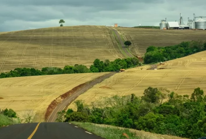 Paraná tem o melhor território para produção agrícola do país, mostra IBGE