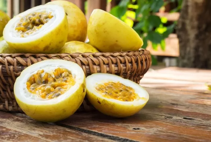 Produção orgânica de maracujá é tema de curso EAD da Embrapa