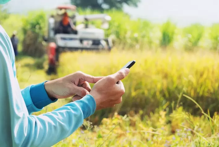 Software é o segredo da eficiência de produtor na gestão agrícola