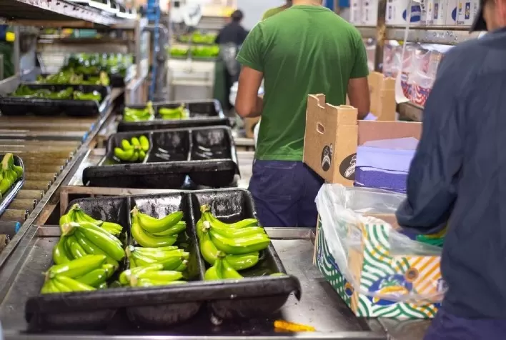 Países da América Latina e do Caribe selam compromisso conjunto de atuar sem delongas para alcançar a segurança alimentar na região