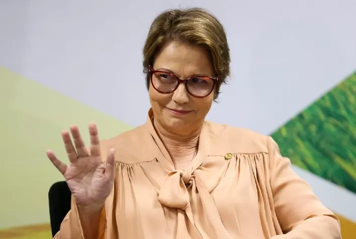 O retorno de uma jabuticaba agrária