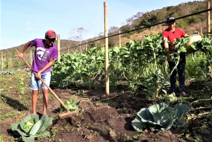 Políticas de aquisição de alimentos melhoram a vida de produtores rurais e a alimentação de famílias em Capelinha